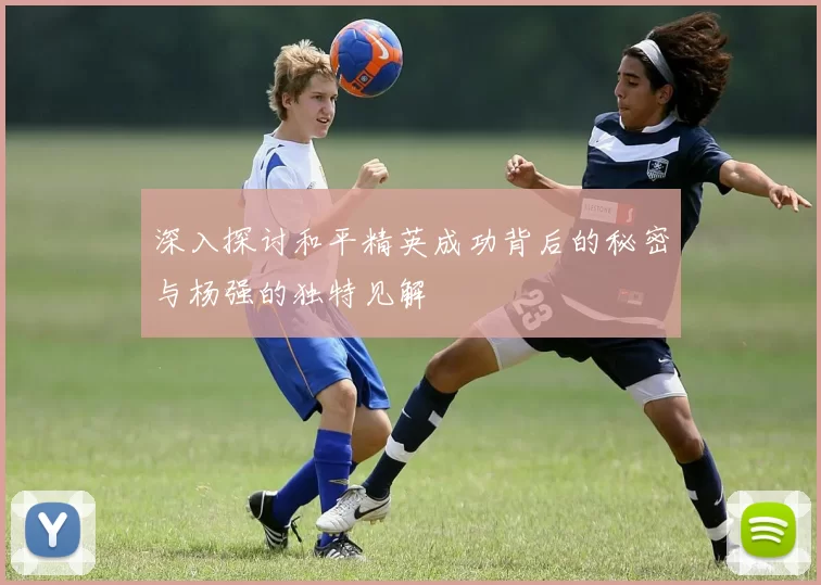 深入探讨和平精英成功背后的秘密与杨强的独特见解