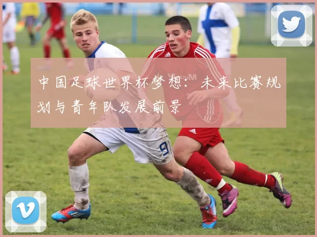 中国足球世界杯梦想：未来比赛规划与青年队发展前景