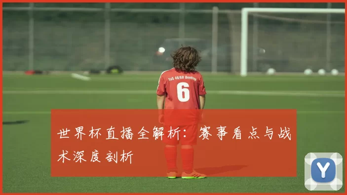 世界杯直播全解析:赛事看点与战术深度剖析