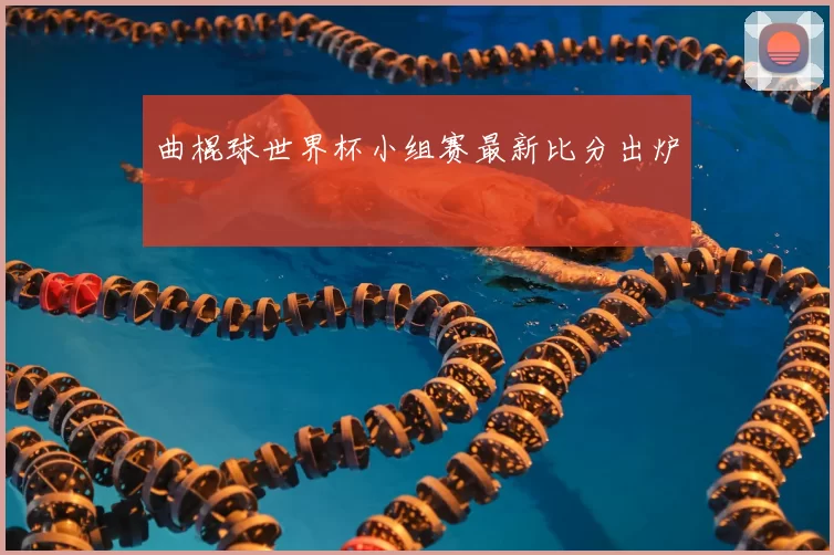 曲棍球世界杯小组赛最新比分出炉