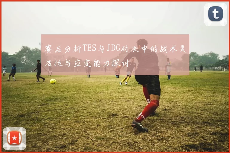 赛后分析TES与JDG对决中的战术灵活性与应变能力探讨