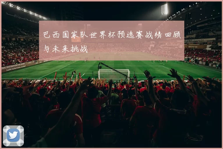 巴西国家队世界杯预选赛战绩回顾与未来挑战