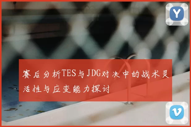 赛后分析TES与JDG对决中的战术灵活性与应变能力探讨