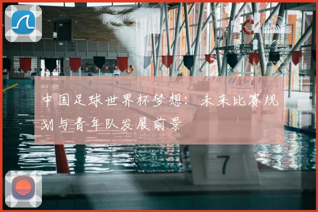 中国足球世界杯梦想：未来比赛规划与青年队发展前景