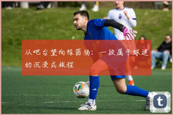 从吧台望向绿茵场:一段属于球迷的沉浸式旅程